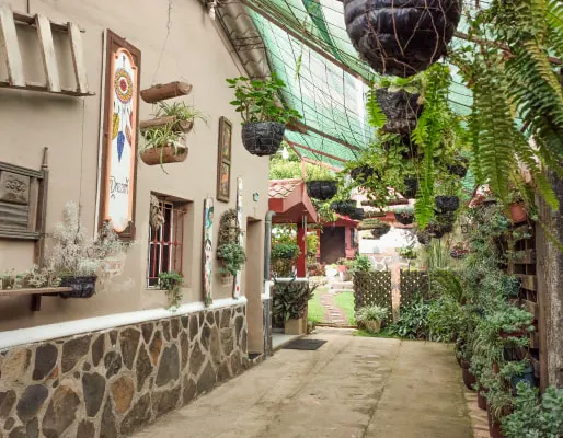Tenemos un hermoso hotel pequeño muy acogedor, para que usted disfrute.