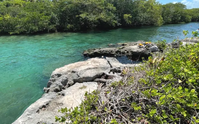MIACasa *Ocean and Jungle View Penthouse and private beach!* MIACasa...