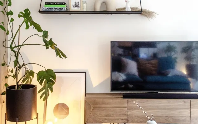 Architect's Home in a Leafy Zone 1 Neighbourhood