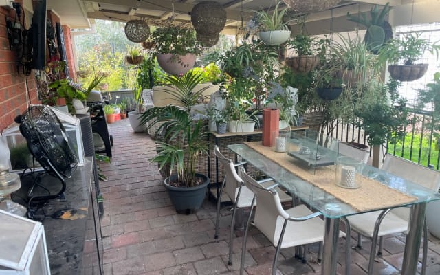 A quiet Oasis, on the outskirts of the CBD.