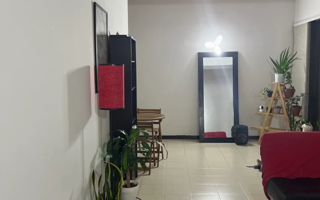 ¡Bonitos y cómodos apartamentos en Medellín!