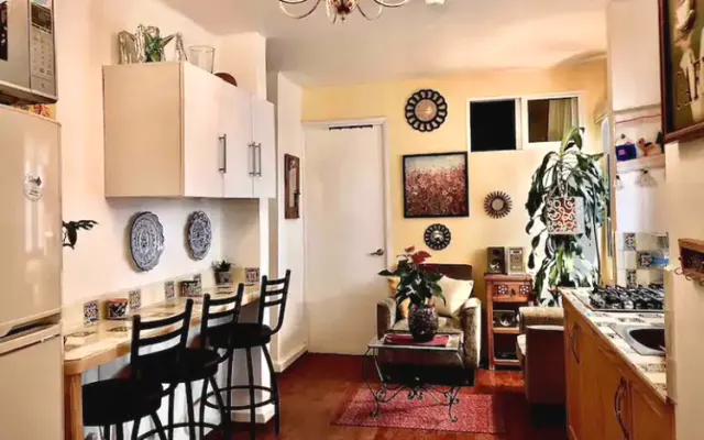 Comfortable, comfortable and centrally located Condesa apartment