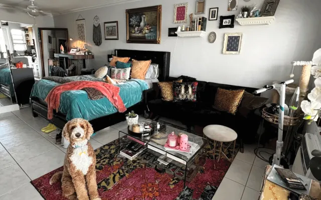 Studio partagé South Beach