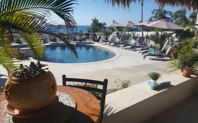 Beautiful landscaped private home, pool, hottub, near swimmable beach
