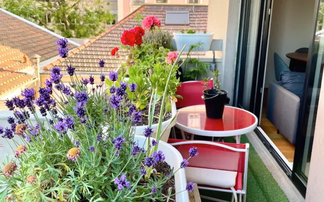 Cosy flat with garden