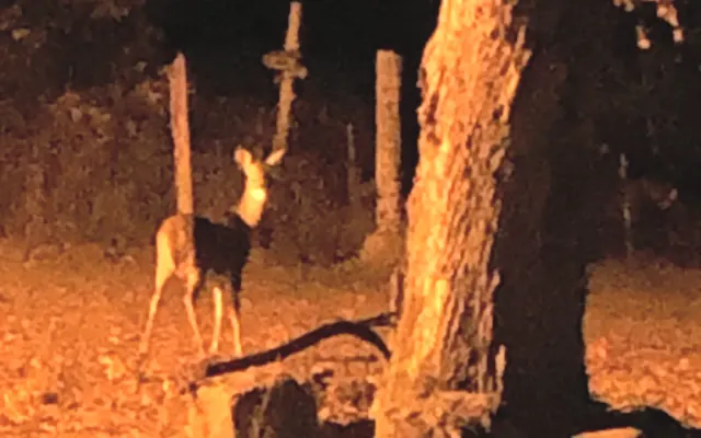 Acogedora y tranquila casa móvil en el campo.