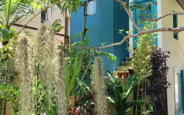 Casa Flor Ponta Negra, Superior Apartment