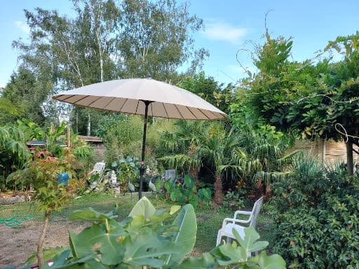jardin de budha