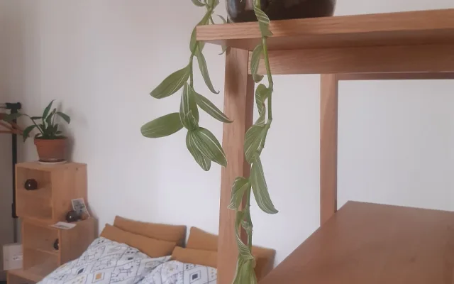 Camera da letto in un'accogliente casa di città in pietra...