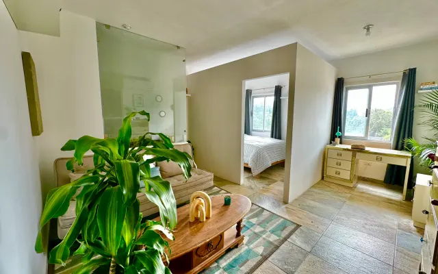 Studio Todos Santos