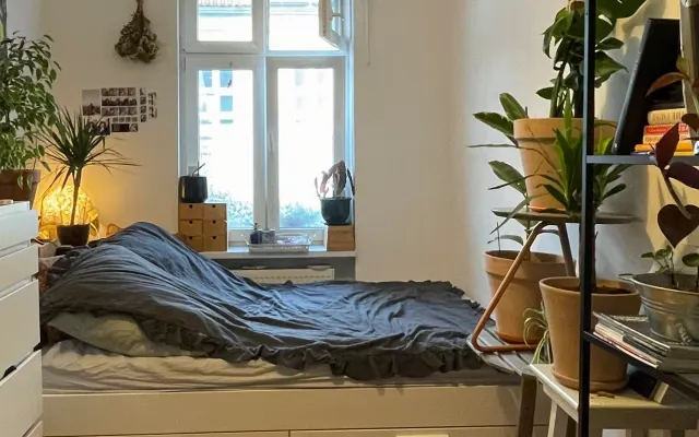 Chambre privée dans un nid douillet au centre de la ville