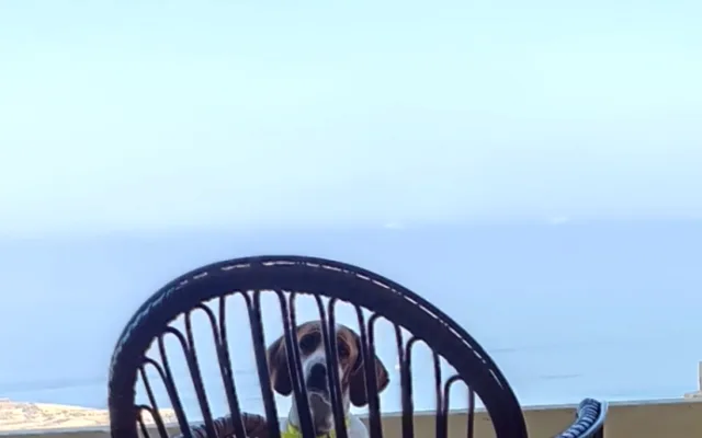 ¡Esa vista! ¡Increíbles puestas de sol, hermoso apartamento y una gran 