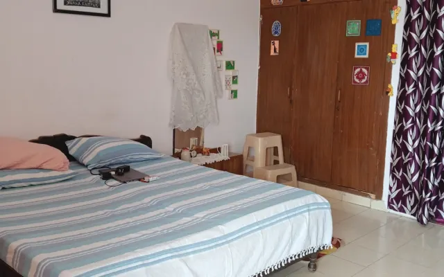 Estadia em casa de um gato ruivo