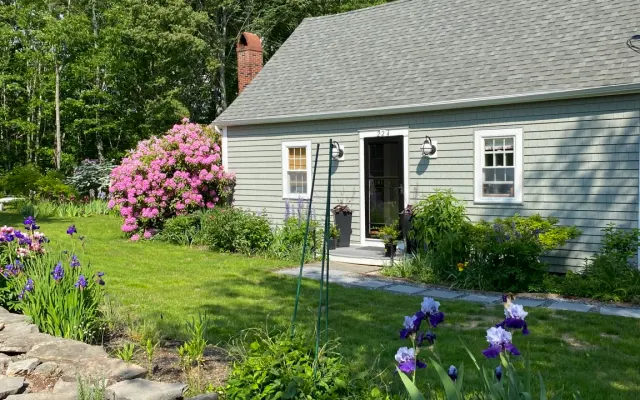 Birch Point bei Cushman Cove. Bukolische Umgebung in Maine's Mid-Coast