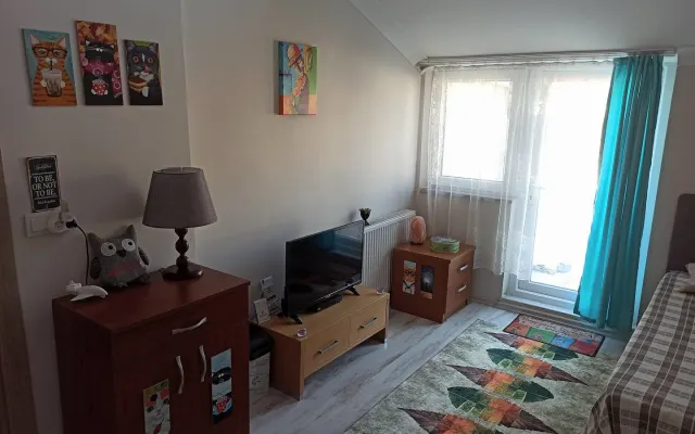 Quarto individual acolhedor com terraço, casa de banho privativa e um...