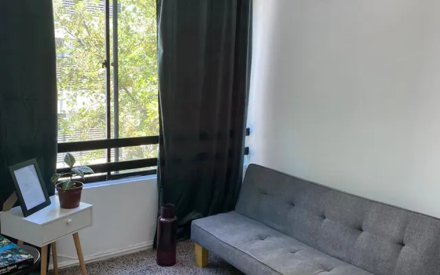 Cozy Apartment Providencia