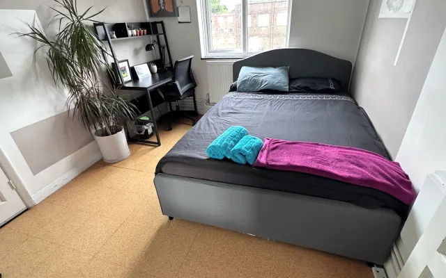 Single room in Hoxton apartment