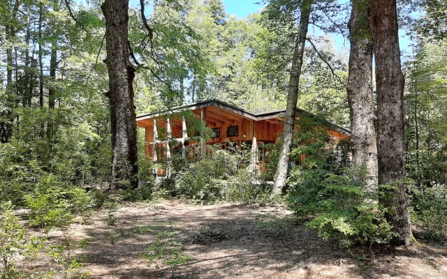 Refuge in the forest, close to Conguillío Park.