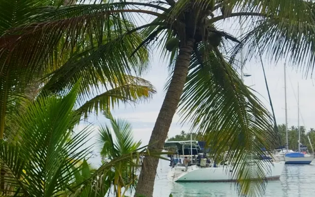 Magnifique bateau à voile à San Blas pour 2 personnes