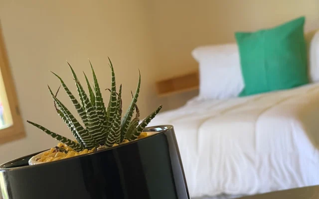 Zimmer Hotel Jardín El Tlapeue Santa Maria Pipioltepec