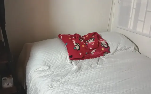 Je partage un bel appartement dans le nord de la ville