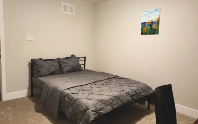 Comfy Room w/Desk & Kitchen/SelfCheck-In in Kanata#3