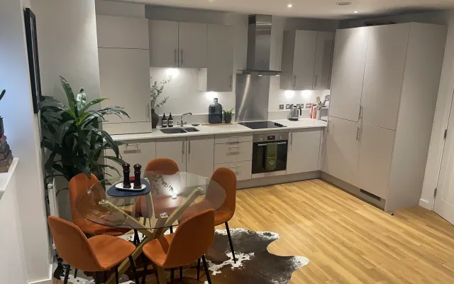 Apartamento en línea central de la ciudad, con un compañero incluido.
