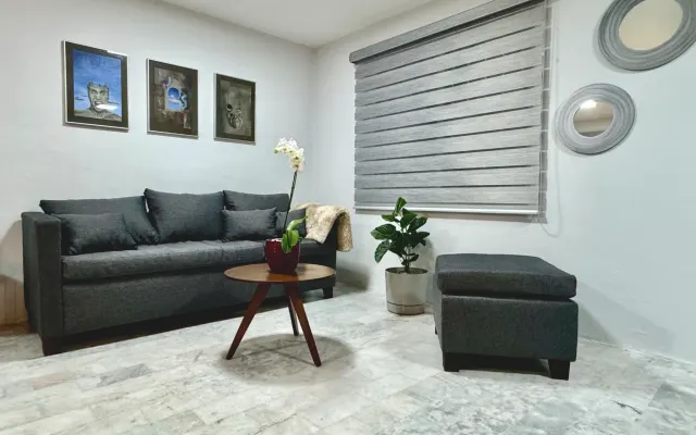 Beautiful renew apartment ready to enjoy the city for work and relax