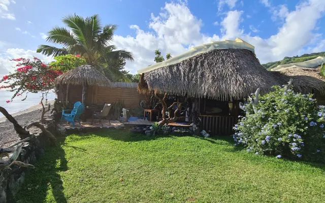 DAS KÜNSTLERHAUS DES WALDES AM MEER