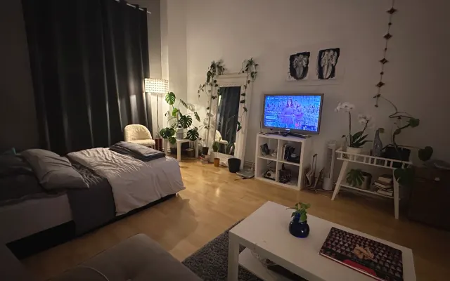 Gemütliche Wohnung in Friedrichshain