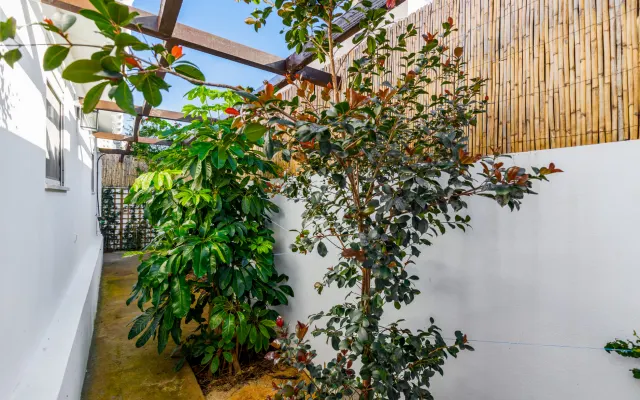 Typical fisherman's hut renovated, tropical patio with total privacy.