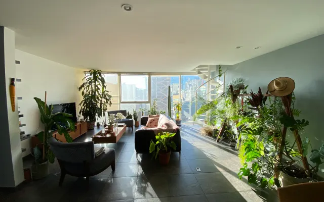Room in a beautiful apartment with terrace in Roma Norte