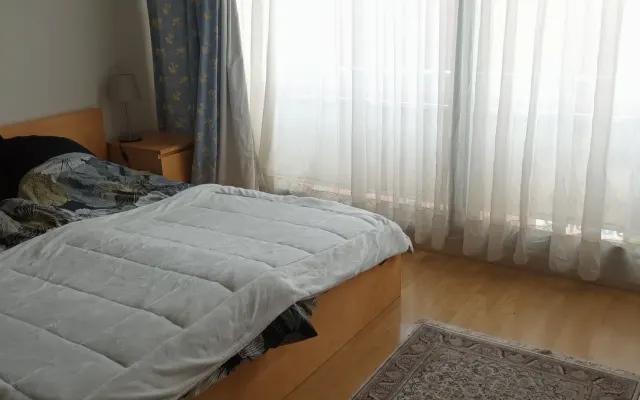 Nuevo amigo en Bruselas