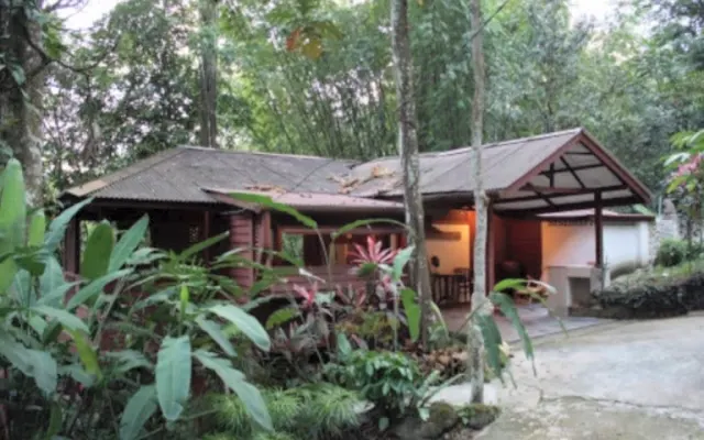 Jungle getaway outside Kuala Lumpur - The Cottage