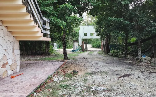 Encontra-se no coração da selva de San Martin, a 5 minutos de carro de