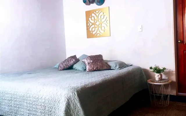 Amplia habitación cama king baño privado sector bueno bonito y central