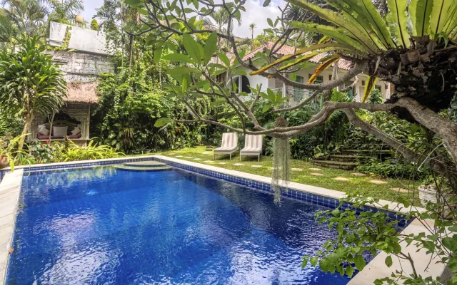 Bright & Breezy!Superb gardens,jungle/river views.