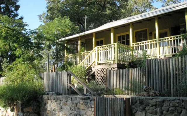 Fivespot Cabin - art and nature lover's retreat