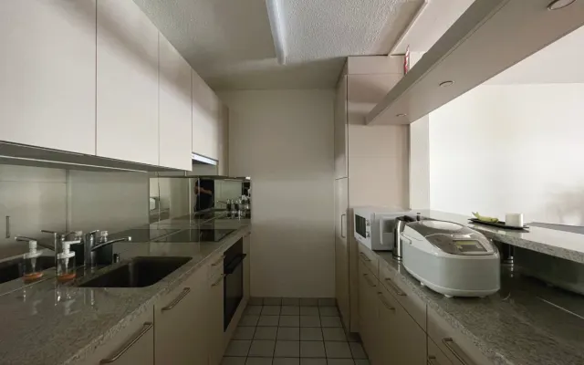Central apartment near the lake