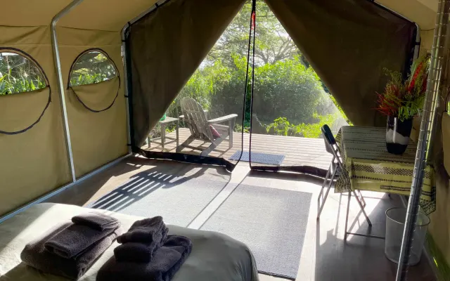 Monkeypod Canopy