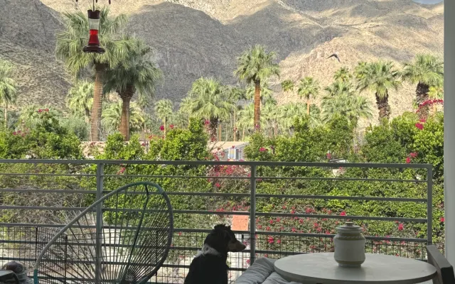 Gran apartamento en Palm Canyon a poca distancia de todo.