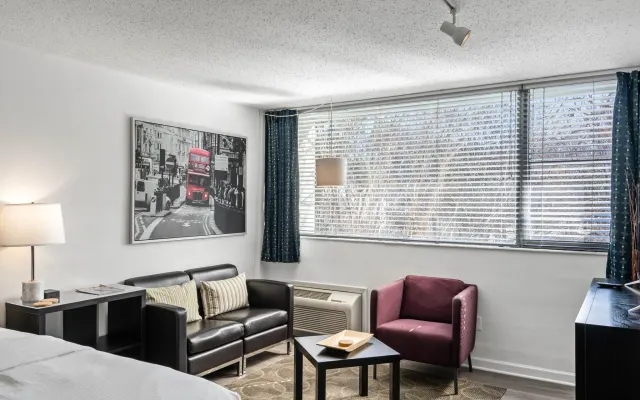 (CCD) Convenient Studio near Piedmont Hospital