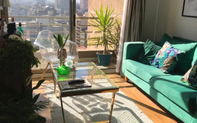 Beautiful apartment in the city. In the tourist district of Santiago.