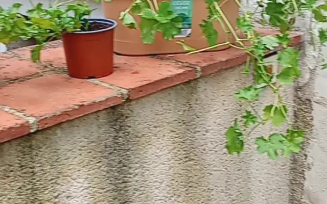 Joli canap' au bord de la creuse~ (Belo sofá nas margens do Creuse)