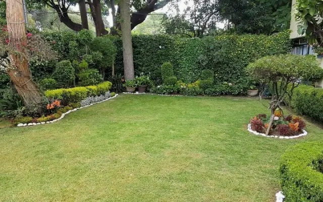 Bellissimo appartamento a tre isolati dal centro storico di Coyoacán,