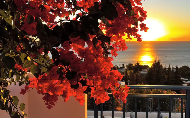 Wonderful villa with sea view