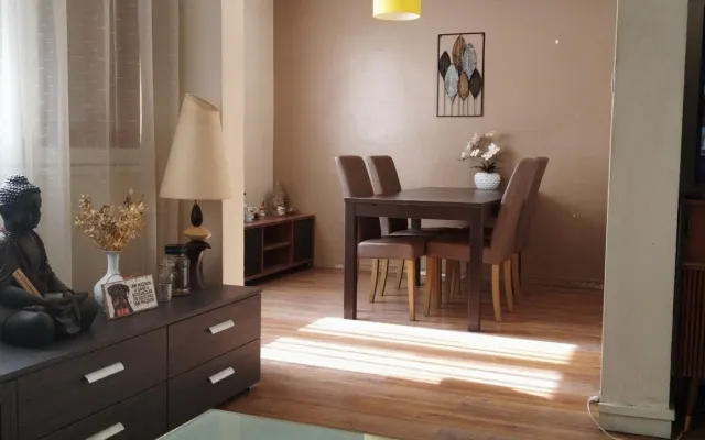 beautiful apartment in Villeurbanne 10min from Part Dieu train station