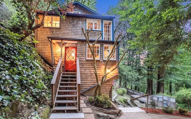 Immersive cabin in the California redwoods