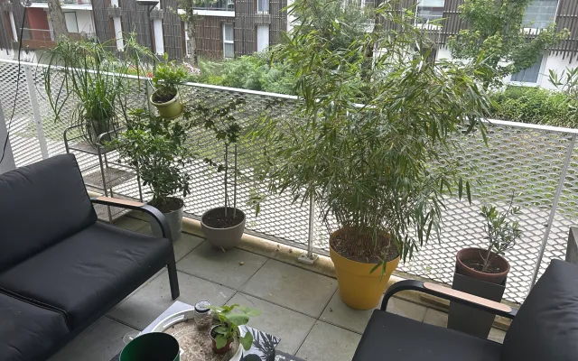 Wohnung von 50m2 mit einer Terrasse von 12m2 . Schlafzimmer 12m .