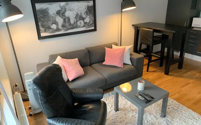Beautiful naked apartment in central Oslo